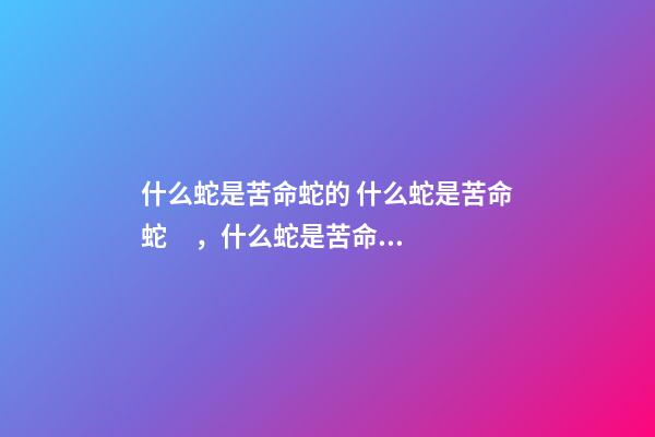 什么蛇是苦命蛇的 什么蛇是苦命蛇，什么蛇是苦命蛇